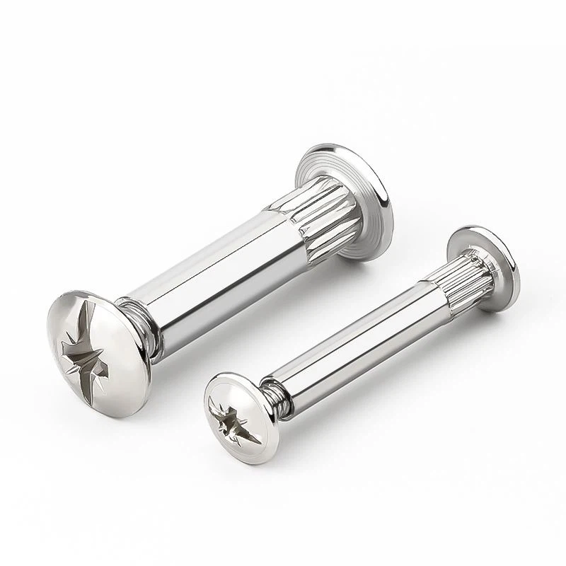 Pengencang Funiture Chicago Screw